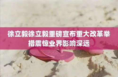 徐立毅徐立毅重磅宣布重大改革举措震惊业界影响深远