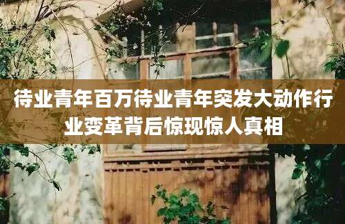 待业青年百万待业青年突发大动作行业变革背后惊现惊人真相