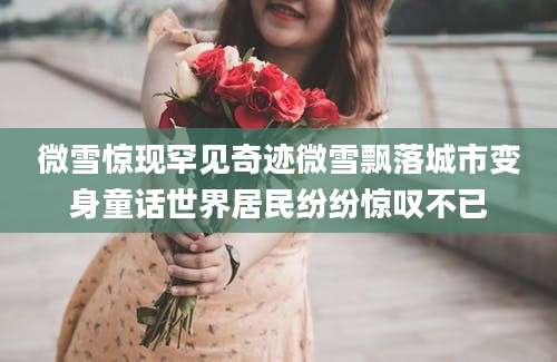 微雪惊现罕见奇迹微雪飘落城市变身童话世界居民纷纷惊叹不已