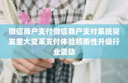 微信商户支付微信商户支付系统突发重大变革支付体验颠覆性升级行业震动