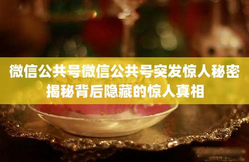 微信公共号微信公共号突发惊人秘密揭秘背后隐藏的惊人真相