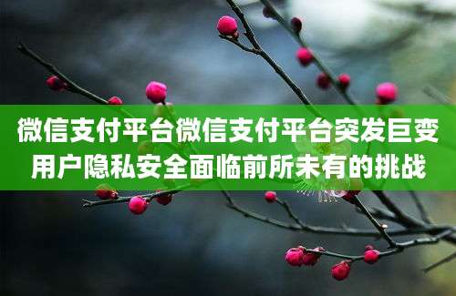 微信支付平台微信支付平台突发巨变用户隐私安全面临前所未有的挑战
