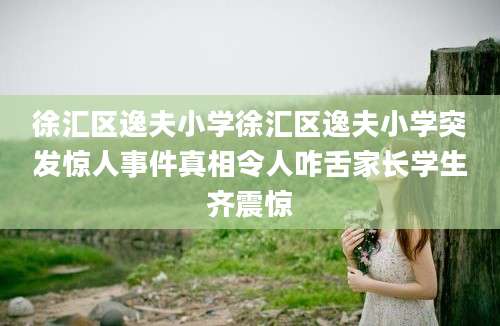 徐汇区逸夫小学徐汇区逸夫小学突发惊人事件真相令人咋舌家长学生齐震惊
