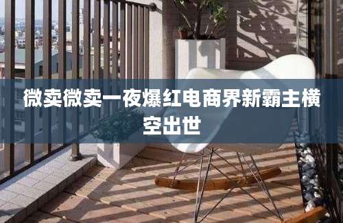 微卖微卖一夜爆红电商界新霸主横空出世