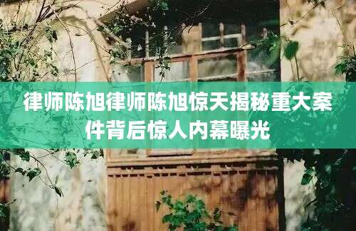 律师陈旭律师陈旭惊天揭秘重大案件背后惊人内幕曝光