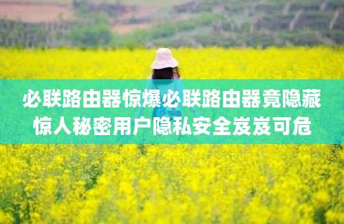 必联路由器惊爆必联路由器竟隐藏惊人秘密用户隐私安全岌岌可危