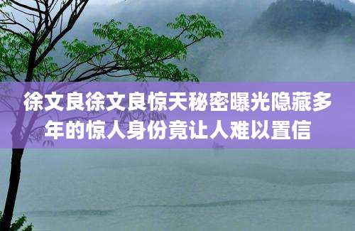 徐文良徐文良惊天秘密曝光隐藏多年的惊人身份竟让人难以置信