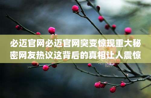 必迈官网必迈官网突变惊现重大秘密网友热议这背后的真相让人震惊