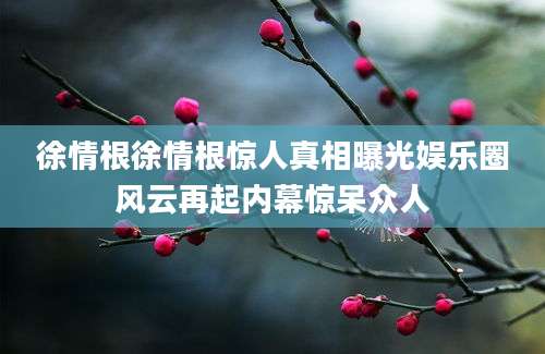 徐情根徐情根惊人真相曝光娱乐圈风云再起内幕惊呆众人