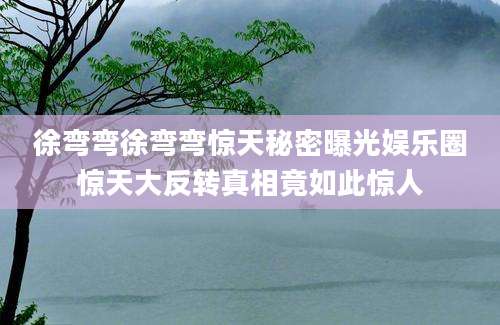 徐弯弯徐弯弯惊天秘密曝光娱乐圈惊天大反转真相竟如此惊人