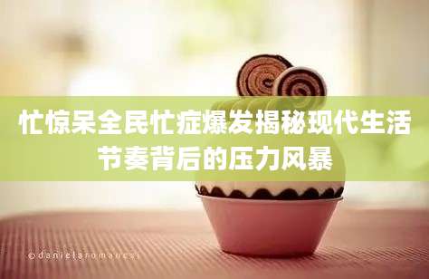 忙惊呆全民忙症爆发揭秘现代生活节奏背后的压力风暴