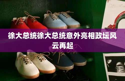 徐大总统徐大总统意外亮相政坛风云再起