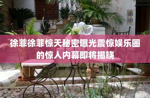徐菲徐菲惊天秘密曝光震惊娱乐圈的惊人内幕即将揭晓