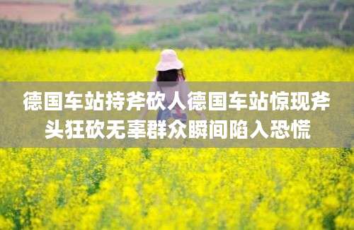 德国车站持斧砍人德国车站惊现斧头狂砍无辜群众瞬间陷入恐慌