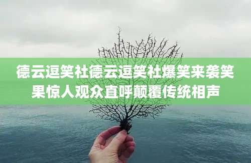 德云逗笑社德云逗笑社爆笑来袭笑果惊人观众直呼颠覆传统相声