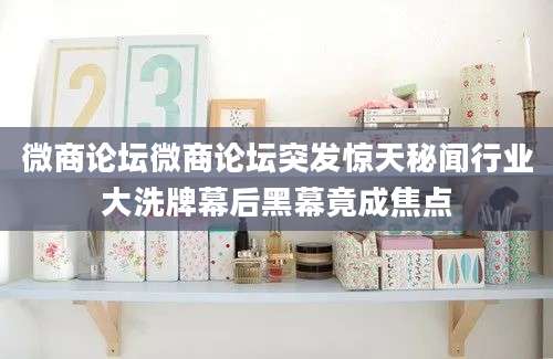微商论坛微商论坛突发惊天秘闻行业大洗牌幕后黑幕竟成焦点