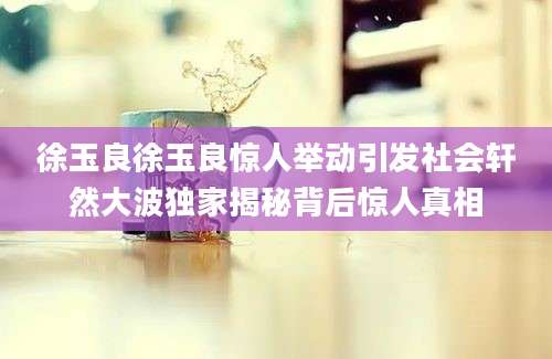 徐玉良徐玉良惊人举动引发社会轩然大波独家揭秘背后惊人真相