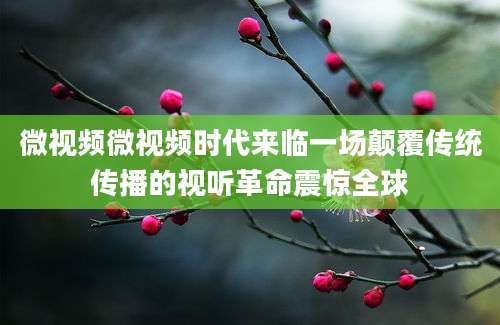 微视频微视频时代来临一场颠覆传统传播的视听革命震惊全球