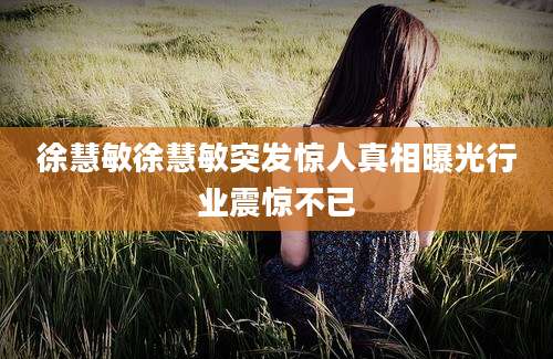 徐慧敏徐慧敏突发惊人真相曝光行业震惊不已