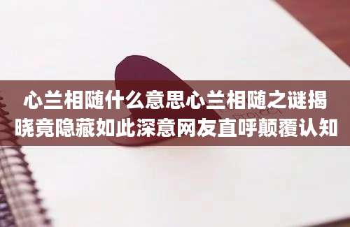 心兰相随什么意思心兰相随之谜揭晓竟隐藏如此深意网友直呼颠覆认知