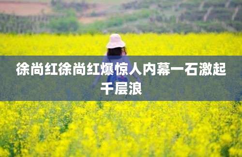徐尚红徐尚红爆惊人内幕一石激起千层浪
