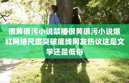 很黄很污小说禁播很黄很污小说爆红网络尺度突破底线网友热议这是文学还是低俗