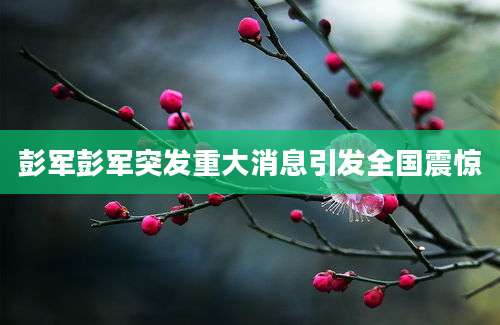 彭军彭军突发重大消息引发全国震惊