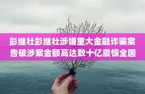 彭继壮彭继壮涉嫌重大金融诈骗案告破涉案金额高达数十亿震惊全国