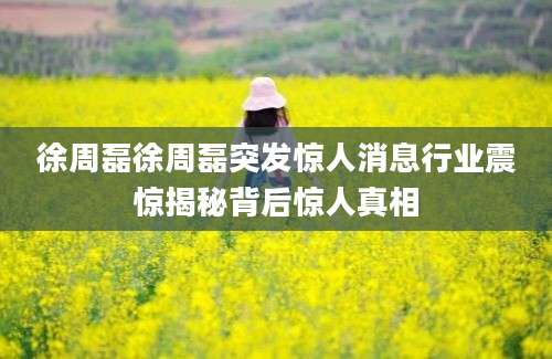 徐周磊徐周磊突发惊人消息行业震惊揭秘背后惊人真相