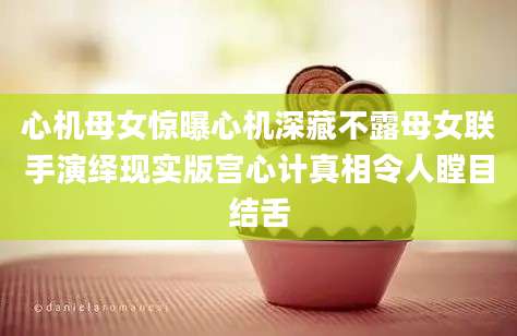 心机母女惊曝心机深藏不露母女联手演绎现实版宫心计真相令人瞠目结舌