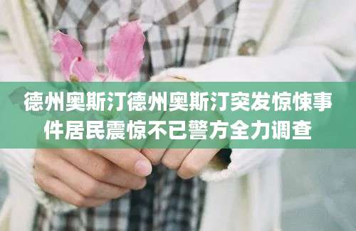 德州奥斯汀德州奥斯汀突发惊悚事件居民震惊不已警方全力调查