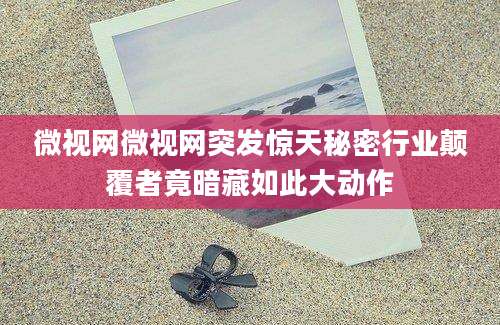 微视网微视网突发惊天秘密行业颠覆者竟暗藏如此大动作
