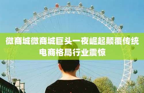 微商城微商城巨头一夜崛起颠覆传统电商格局行业震惊
