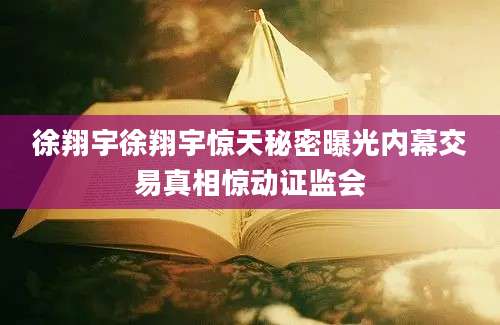 徐翔宇徐翔宇惊天秘密曝光内幕交易真相惊动证监会