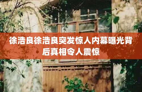 徐浩良徐浩良突发惊人内幕曝光背后真相令人震惊