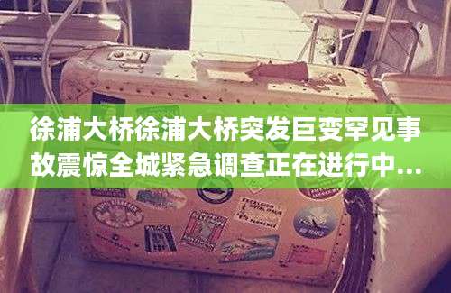 徐浦大桥徐浦大桥突发巨变罕见事故震惊全城紧急调查正在进行中...