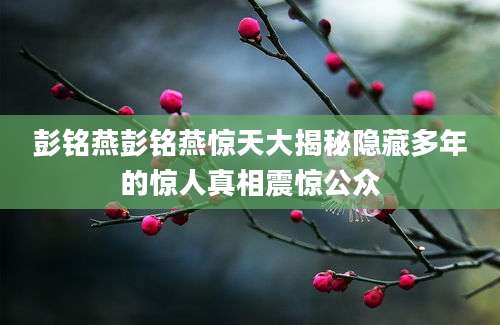 彭铭燕彭铭燕惊天大揭秘隐藏多年的惊人真相震惊公众