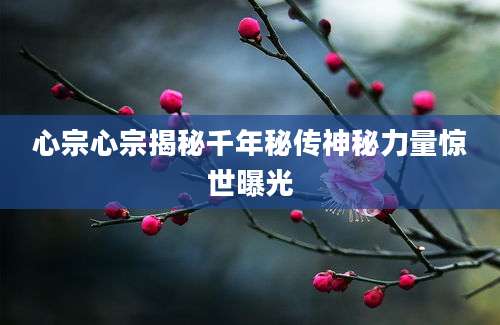 心宗心宗揭秘千年秘传神秘力量惊世曝光