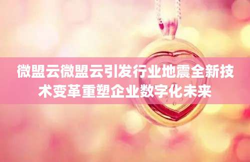 微盟云微盟云引发行业地震全新技术变革重塑企业数字化未来