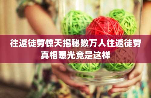 往返徒劳惊天揭秘数万人往返徒劳真相曝光竟是这样