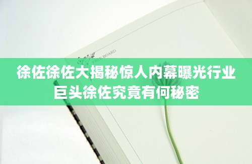 徐佐徐佐大揭秘惊人内幕曝光行业巨头徐佐究竟有何秘密