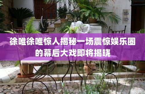 徐唯徐唯惊人揭秘一场震惊娱乐圈的幕后大戏即将揭晓