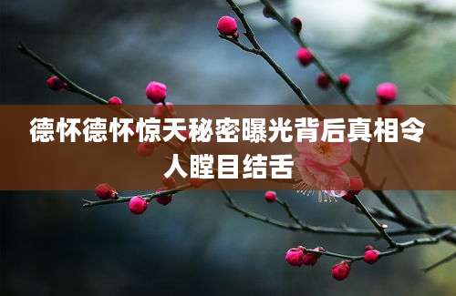 德怀德怀惊天秘密曝光背后真相令人瞠目结舌