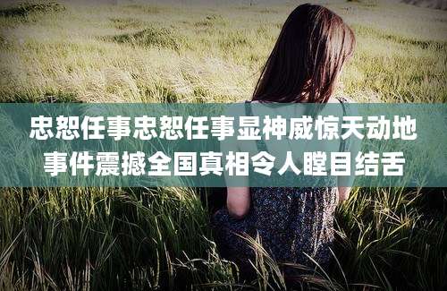 忠恕任事忠恕任事显神威惊天动地事件震撼全国真相令人瞠目结舌