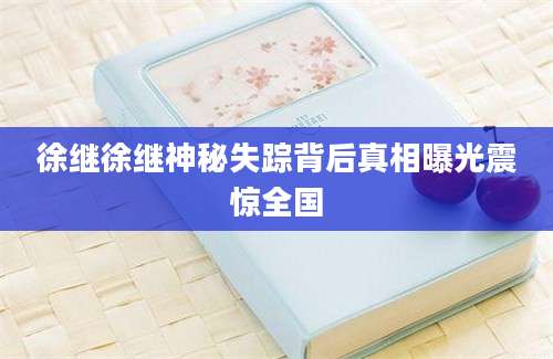 徐继徐继神秘失踪背后真相曝光震惊全国