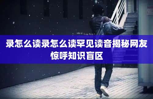 录怎么读录怎么读罕见读音揭秘网友惊呼知识盲区
