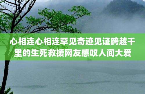 心相连心相连罕见奇迹见证跨越千里的生死救援网友感叹人间大爱