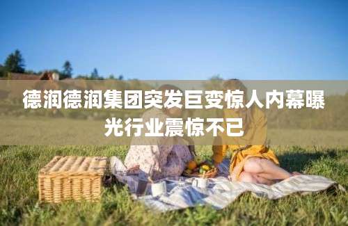 德润德润集团突发巨变惊人内幕曝光行业震惊不已