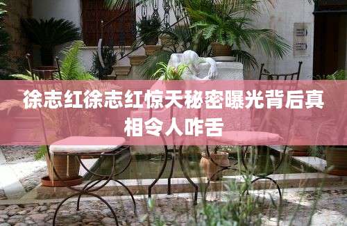 徐志红徐志红惊天秘密曝光背后真相令人咋舌