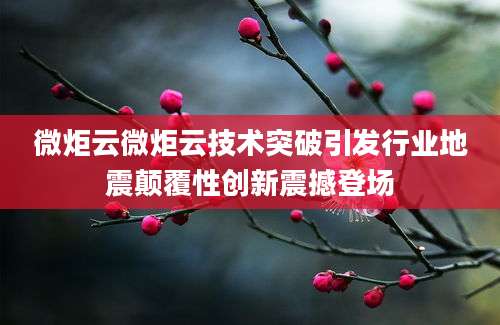 微炬云微炬云技术突破引发行业地震颠覆性创新震撼登场